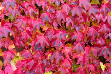 Similar image 13216449