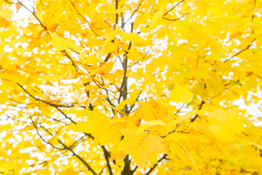 Similar image 13216467