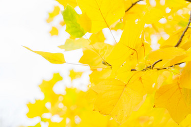 Similar image 13216468