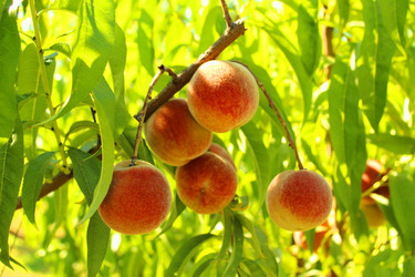 Similar image 13192302