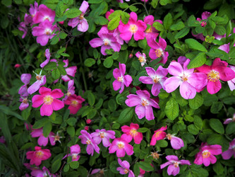 Similar image 13192304