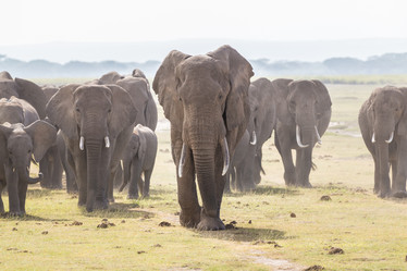 Similar image 13215536