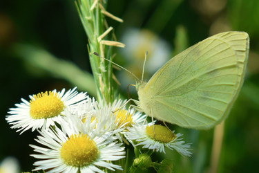 Similar image 13193101