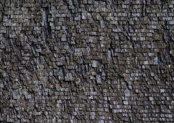 Similar image 13193132