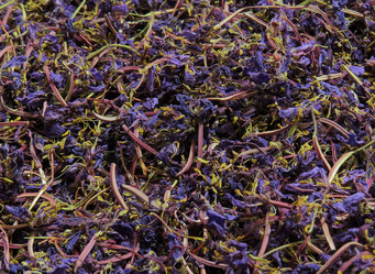 Similar image 13193133