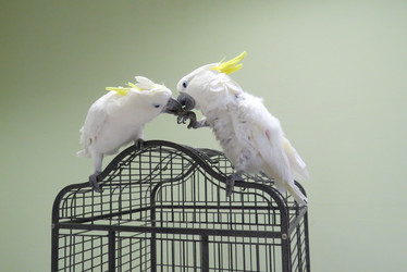 Similar image 13193136