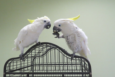 Similar image 13193137