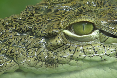 Similar image 13193138