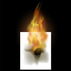 Similar image 13197672