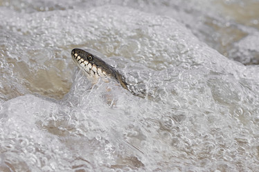 Similar image 13193121