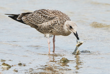 Similar image 13193126