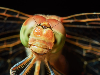 Similar image 13193131