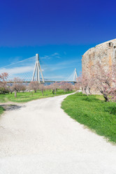 Similar image 13215876