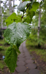 Similar image 13232091