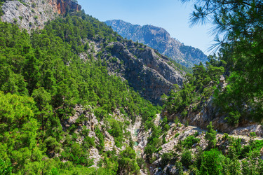 Similar image 13193526