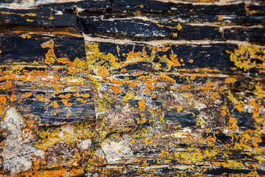 Similar image 13193175