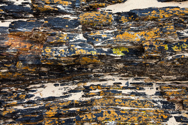 Similar image 13193176