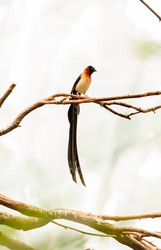 Similar image 13201585