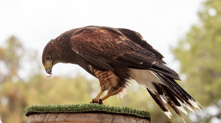 Similar image 13219267