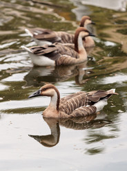 Similar image 13219268