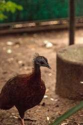 Similar image 13219281