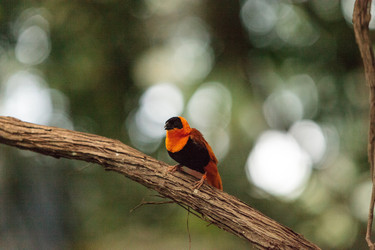 Similar image 13219282