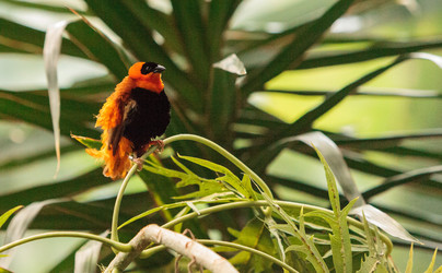 Similar image 13219283