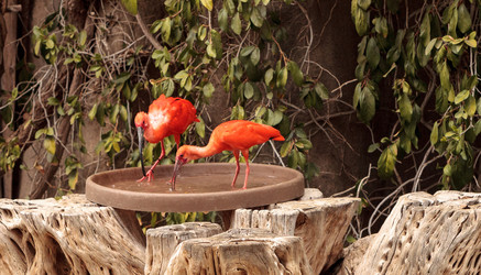 Similar image 13231965