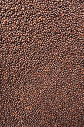 Similar image 13193653