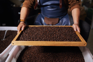 Similar image 13193909