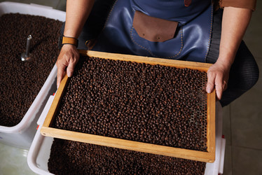 Similar image 13193932