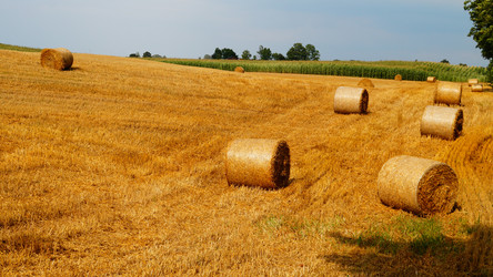 Similar image 13198617