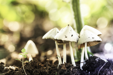 Similar image 13198167