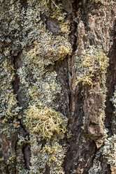 Similar image 13198170