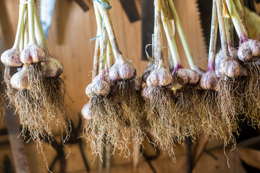 Similar image 13198171