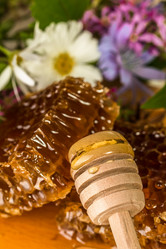 Similar image 13198177