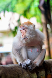 Similar image 13207552