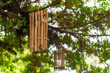 Similar image 13207555