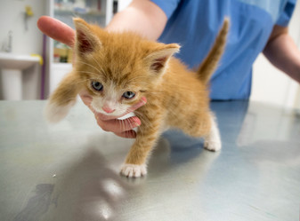 Similar image 13211537