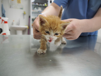 Similar image 13198716