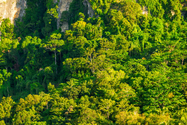 Similar image 13207509