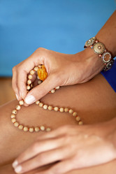 Similar image 13194562