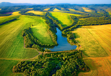 Similar image 13195882