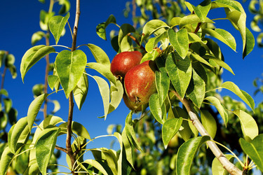 Similar image 13195918