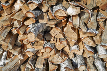 Similar image 13195920