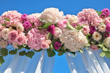 Similar image 13195933