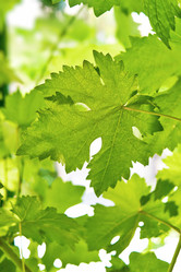 Similar image 13195943