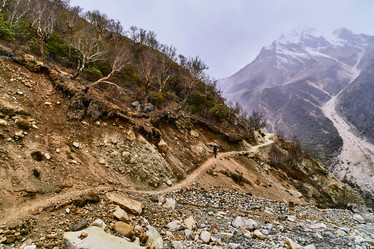 Similar image 13195955