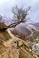 Similar image 13195956