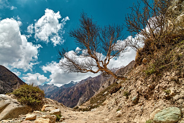 Similar image 13195964